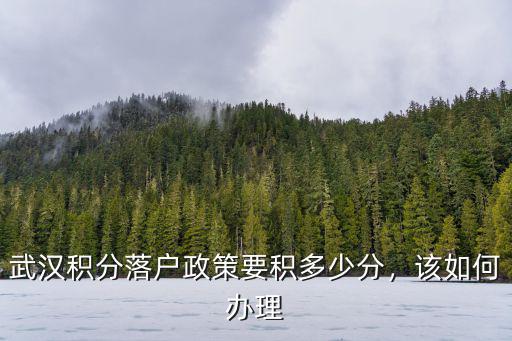 武漢積分落戶不夠怎么辦,武漢積分落戶政策要積多少分