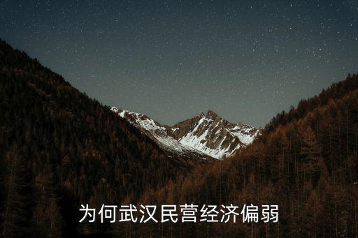武漢民營企業怎么樣,為何武漢民營經濟偏弱