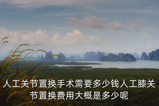 保定市髖關(guān)節(jié)置換需要多少錢,髖關(guān)節(jié)置換術(shù)大概需要多少錢