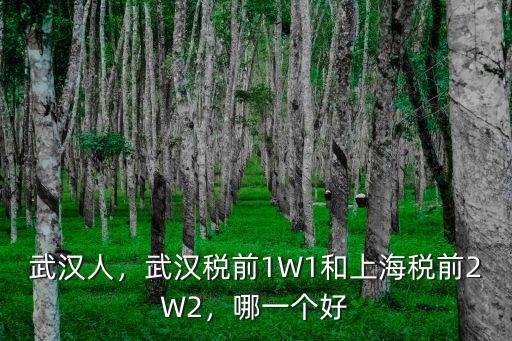 武漢人，武漢稅前1W1和上海稅前2W2，哪一個好