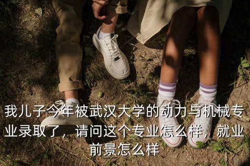 武漢松鼠建設機械怎么樣,武漢工程大學怎么樣