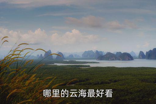 哪里的云海最好看