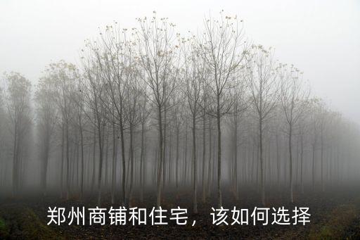 鄭州商鋪怎么選,鄭州商鋪和住宅