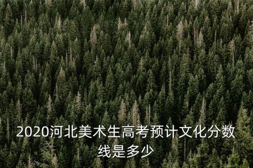 2020河北美術生高考預計文化分數線是多少