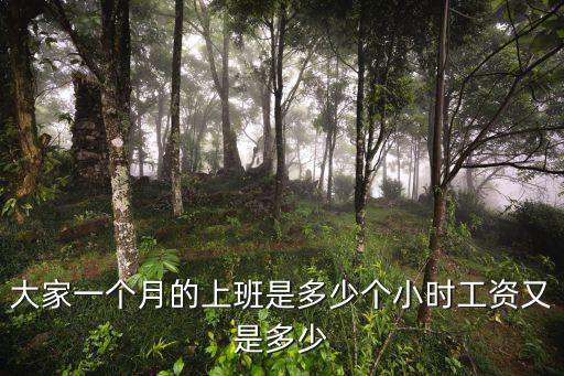 大家一個月的上班是多少個小時工資又是多少