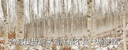合肥接盤蔚來到底是不是一場豪賭