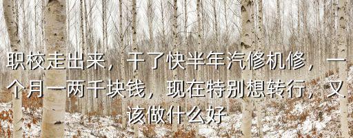 職校走出來，干了快半年汽修機修，一個月一兩千塊錢，現(xiàn)在特別想轉(zhuǎn)行，又該做什么好