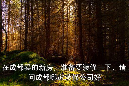 成都賣布置新房在哪里,在成都買的新房
