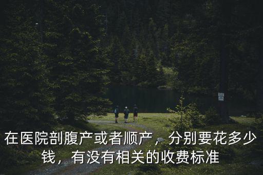 在醫院剖腹產或者順產，分別要花多少錢，有沒有相關的收費標準
