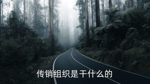 自貢傳銷組織在哪里,傳銷組織是干什么的