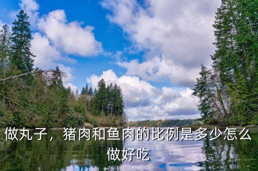 做丸子，豬肉和魚肉的比例是多少怎么做好吃