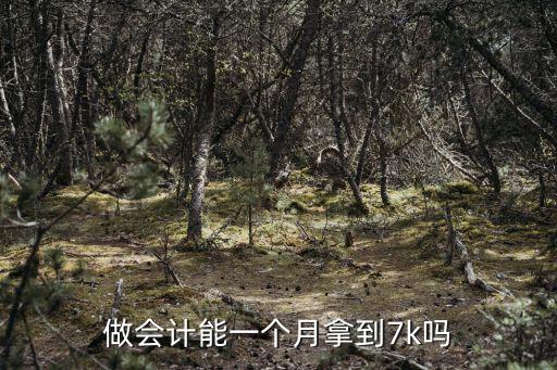 做會計能一個月拿到7k嗎
