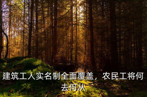 黃石建筑工人實名制費用怎么算,建筑工人實名制