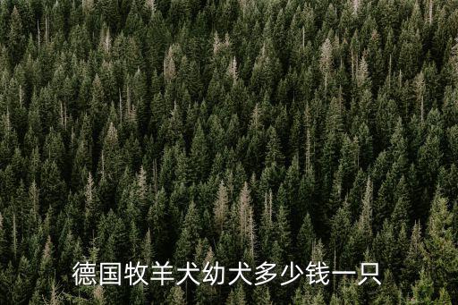 德國牧羊犬幼犬多少錢一只