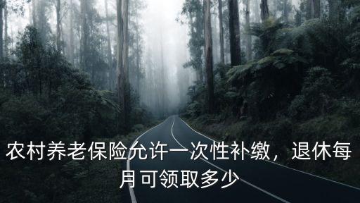 農村養老保險允許一次性補繳，退休每月可領取多少