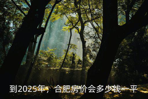 合肥濱湖新區投資了多少錢打造,合肥房價會多少錢一平