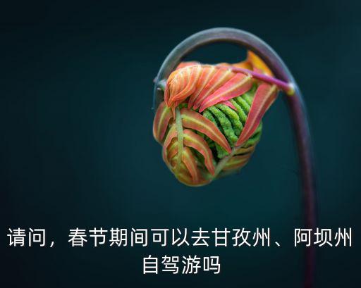 請問，春節(jié)期間可以去甘孜州、阿壩州自駕游嗎