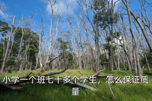 小學一個班七十多個學生，怎么保證質量