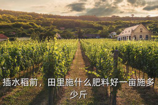 水稻田一畝施多少復合肥,一畝施多少斤