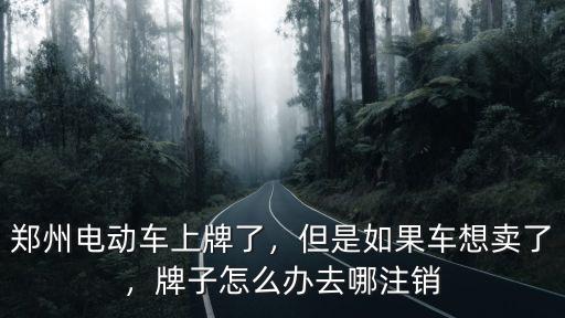 鄭州哪里有賣能上牌的載貨電動車,鄭州電動車上牌了