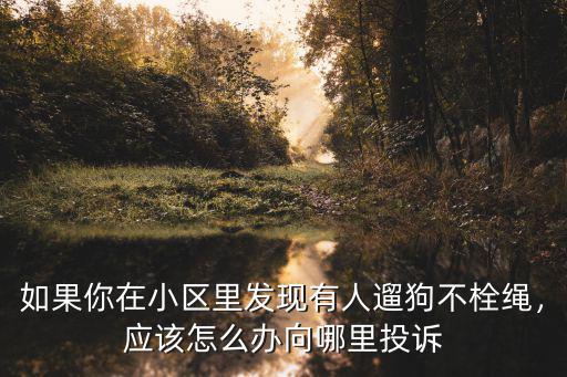 成都遛狗不牽繩攻擊人在哪里舉報,小區(qū)遛狗不牽繩到哪里舉報