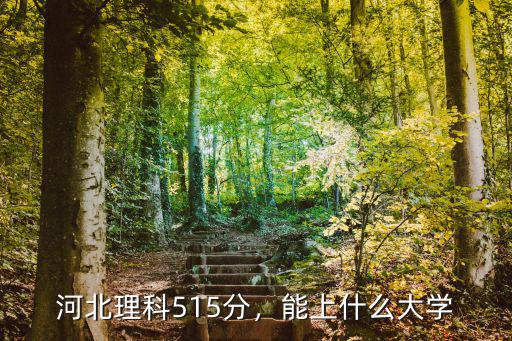 河北理科515分，能上什么大學(xué)