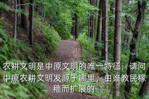 農耕文明是中原文明的唯一特征，請問中原農耕文明發源于哪里，由誰教民稼穡而擴展的