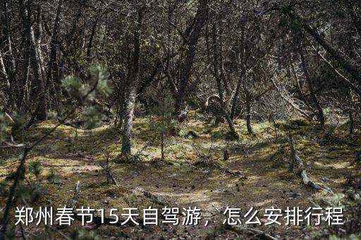 鄭州春節(jié)15天自駕游，怎么安排行程