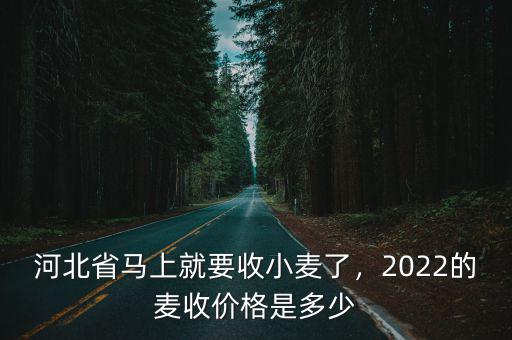 河北省馬上就要收小麥了，2022的麥?zhǔn)諆r(jià)格是多少