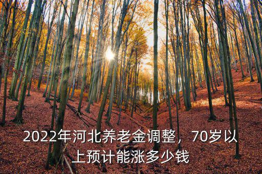 河北的養老金上調多少錢,河北養老金上調多少