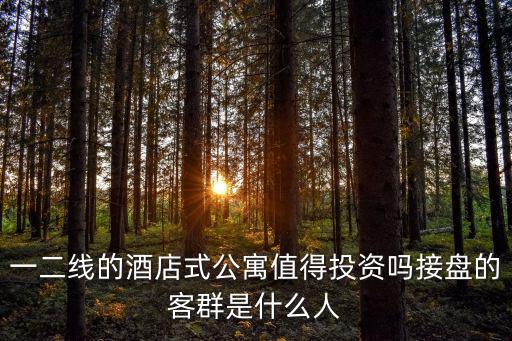 投資酒店式公寓怎么樣武漢,花30w投資酒店式公寓