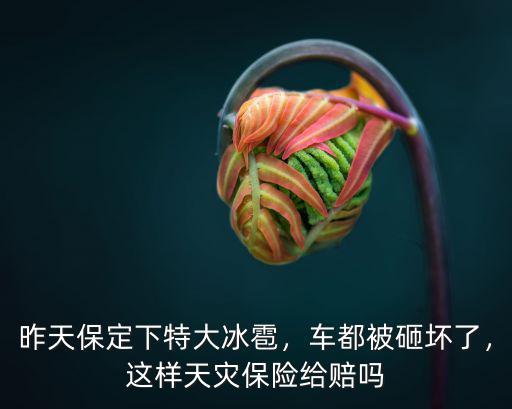 保定下冰雹能砸壞多少輛小車,冰雹能把車砸壞嗎