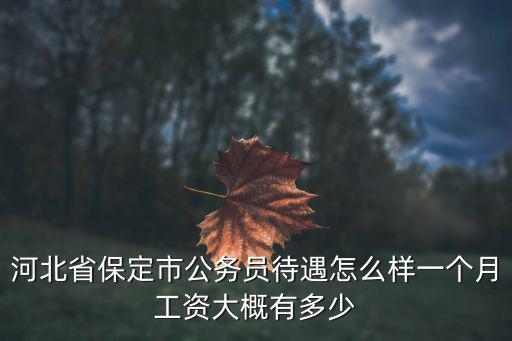 河北省保定市公務員待遇怎么樣一個月工資大概有多少