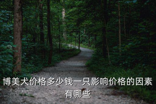 鄭州博美犬價格多少錢一只,博美犬價格多少錢一只