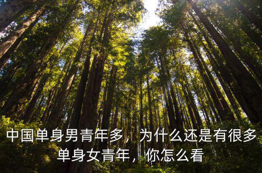 中國單身男青年多，為什么還是有很多單身女青年，你怎么看
