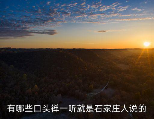 有哪些口頭禪一聽就是石家莊人說的