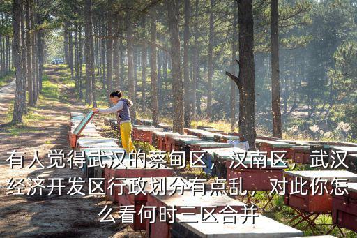 有人覺得武漢的蔡甸區(qū)，漢南區(qū)，武漢經(jīng)濟開發(fā)區(qū)行政劃分有點亂，對此你怎么看何時三區(qū)合并