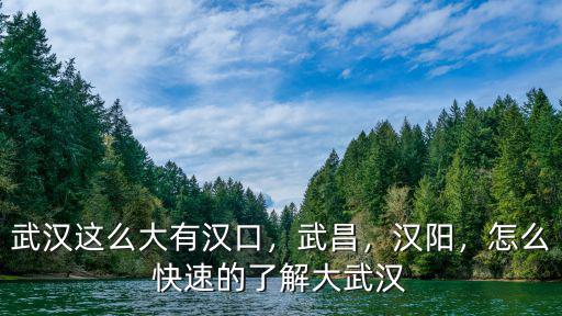 武漢漢陽兵工廠怎么去,怎么快速的了解大武漢