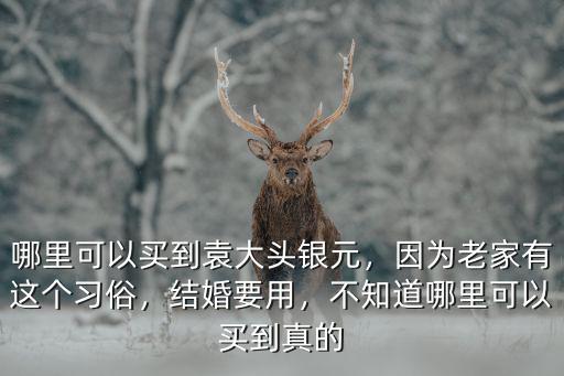 哪里可以買到袁大頭銀元，因為老家有這個習俗，結婚要用，不知道哪里可以買到真的