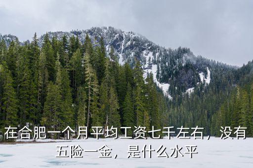 在合肥一個(gè)月平均工資七千左右，沒有五險(xiǎn)一金，是什么水平