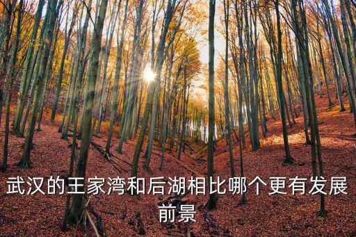 武漢漢陽(yáng)王家灣十年后發(fā)展怎么樣,你覺(jué)得現(xiàn)在漢陽(yáng)的發(fā)展怎么樣