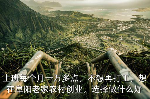 阜陽農村創業補貼是多少,我想在農村創業