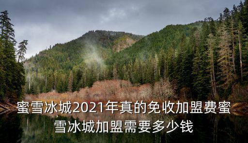 唐山遵化蜜雪冰城加盟多少錢(qián),蜜雪冰城加盟需要多少錢(qián)