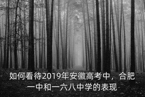 如何看待2019年安徽高考中，合肥一中和一六八中學的表現