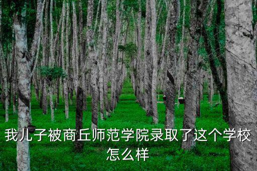 商丘師院考多少分能錄取,我兒子被商丘師范學(xué)院錄取了