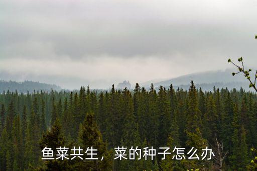 安徽魚菜共生陶粒多少錢,魚菜共生蔬菜種植介質哪種好