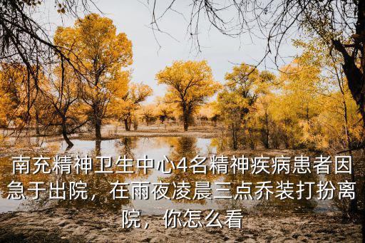 南充精神衛(wèi)生中心4名精神疾病患者因急于出院，在雨夜凌晨三點喬裝打扮離院，你怎么看