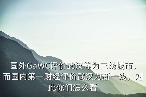 外國怎么評論武漢醫(yī)院,外國網(wǎng)友是怎么評論武漢的