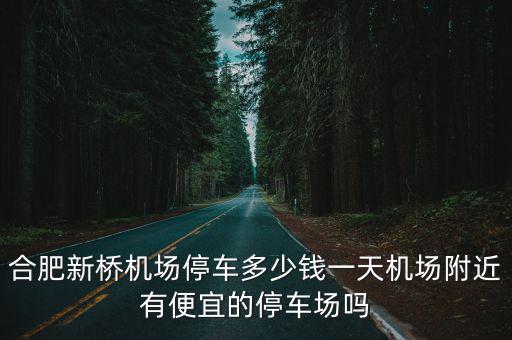 合肥停車位缺口有多少,合肥停車位缺口達到30萬個