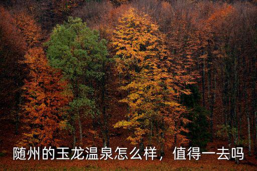 隨州的玉龍溫泉怎么樣，值得一去嗎